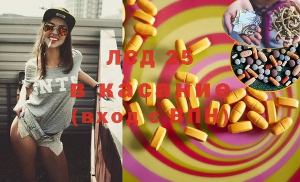 твердый Лиски
