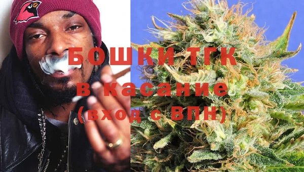 индика Губаха