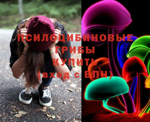 твердый Лиски